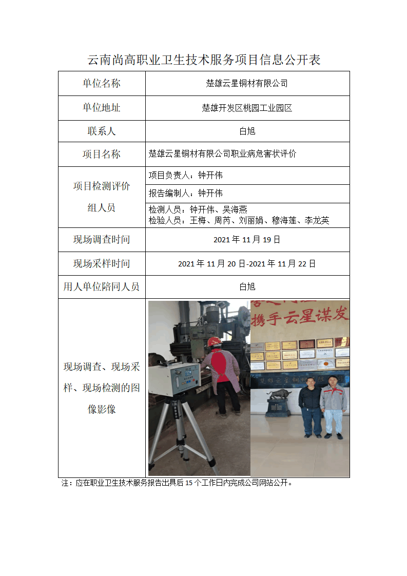 楚雄云星铜材有限公司职业卫生网上公开业绩表模版_01.png