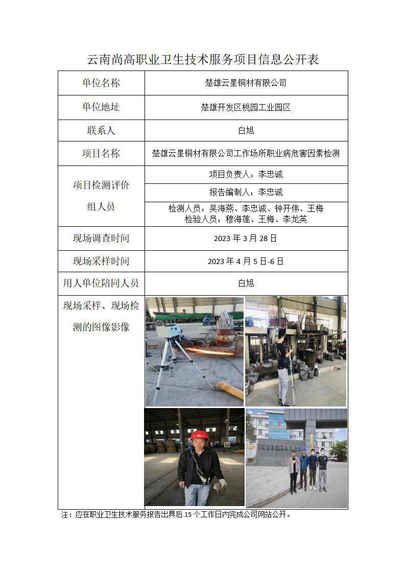 楚雄云星铜材有限职业卫生网上公开业绩表模版_01.jpg