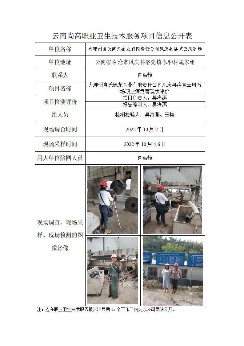 大理州自氏德龙企业有限责任公司凤庆县洛党云凤石场职业卫生网上公开业绩表_01.jpg