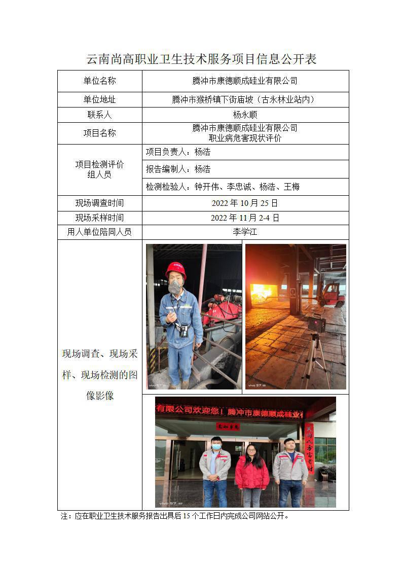 腾冲市康德顺成硅业有限公司公开业绩表_01.jpg