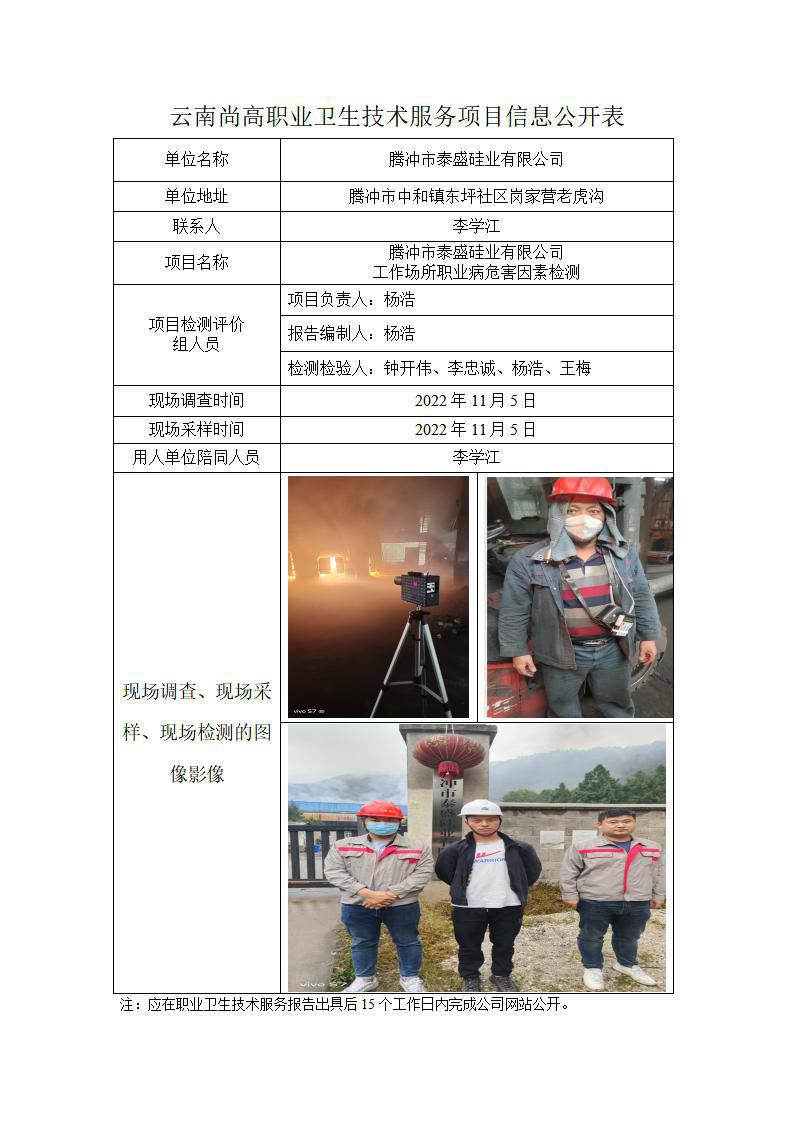 腾冲市泰盛硅业有限公司公开业绩表_01.jpg