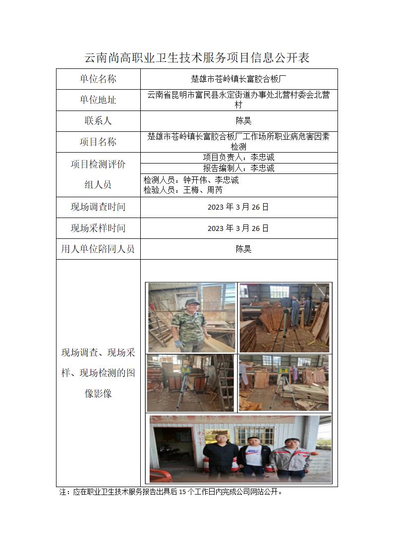 楚雄市苍岭镇长富胶合板厂职业卫生网上公开业绩表模版_01.jpg