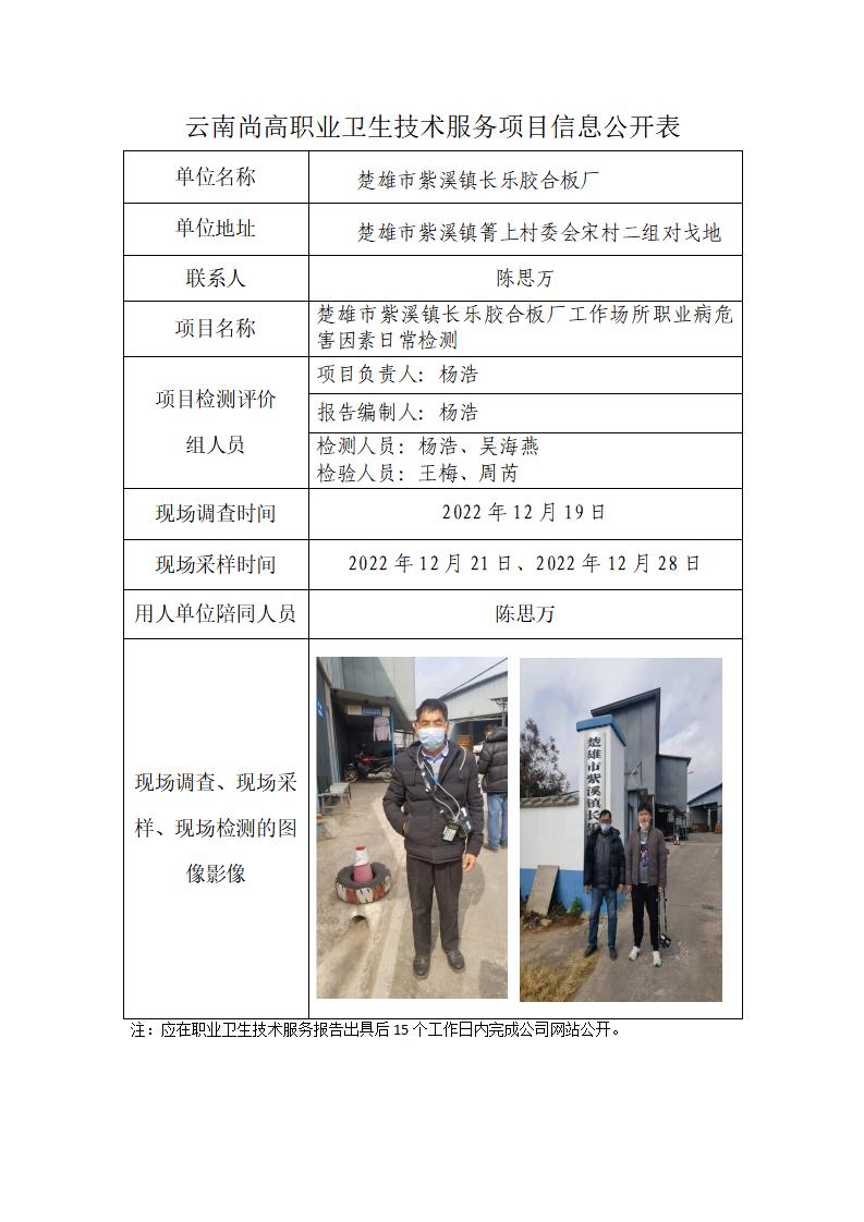 楚雄市紫溪镇长乐胶合板厂职业卫生网上公开业绩表_01.jpg