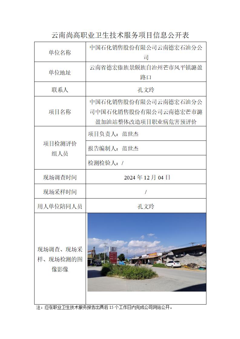 职业卫生网上公开业绩表模版-潞盈加油站-2024.12.30_01.jpg